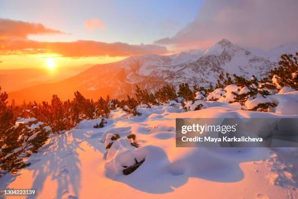 beautiful sunrise on top of a mountain. winter alpenglow on snowcapped peak. - pirin mountains stock pictures, royalty-free photos & images