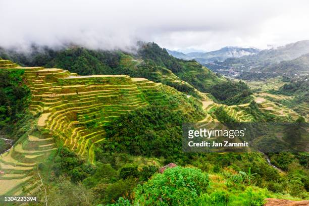 the banaue rice terraces - manilla stockfoto's en -beelden