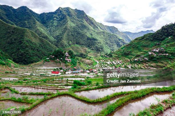 the banaue rice terraces - ifugao province stock pictures, royalty-free photos & images