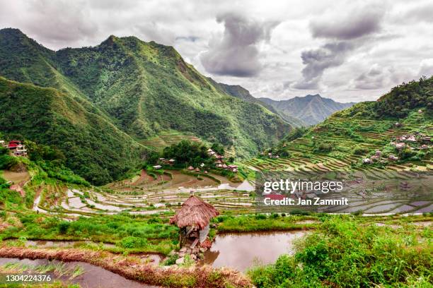 the banaue rice terraces - ifugao province stock pictures, royalty-free photos & images