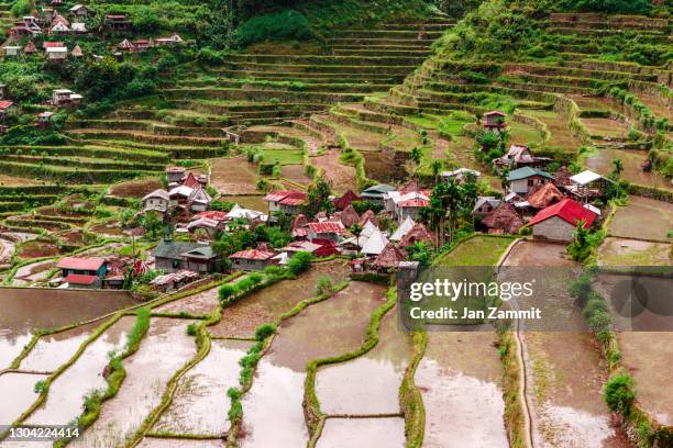 the banaue rice terraces - ifugao province stock pictures, royalty-free photos & images