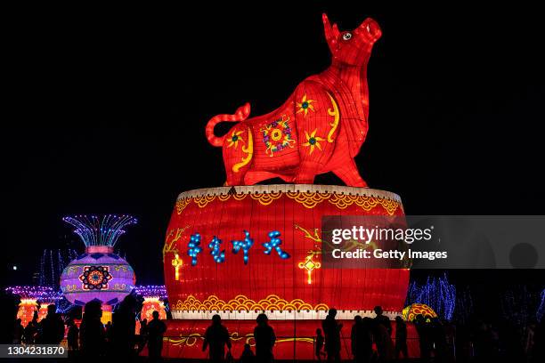 Residents visiting a ox lantern during a Lantern Festival show at Expo Garden on February 26, 2021 in Wuhan, Hubei Province, China. And with no...