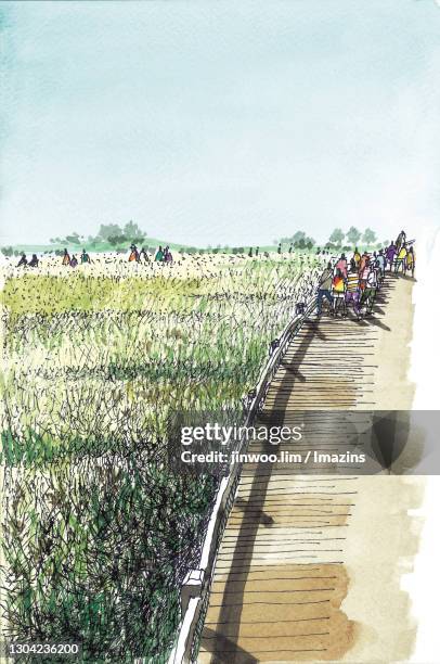 ecological park, suncheon, south korea - promenade stock illustrations