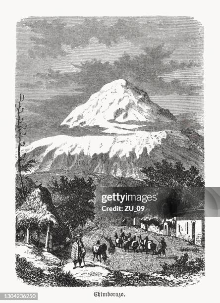 historical view of chimborazo, ecuador, wood engraving, published in 1893 - guanaco stock illustrations