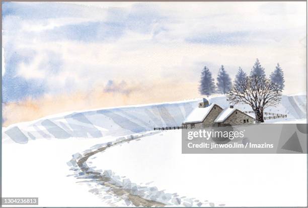winter landscape of hokkaido, japan - hokkaido snow stock illustrations