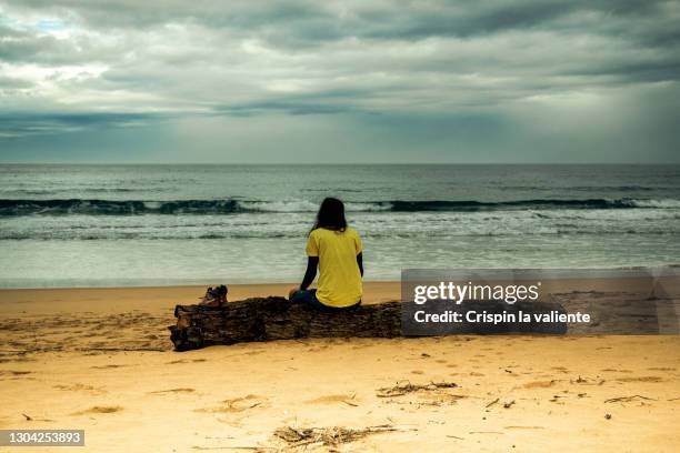 young woman sitting on a log on the beach, looking at the sea - pessimisme stock pictures, royalty-free photos & images