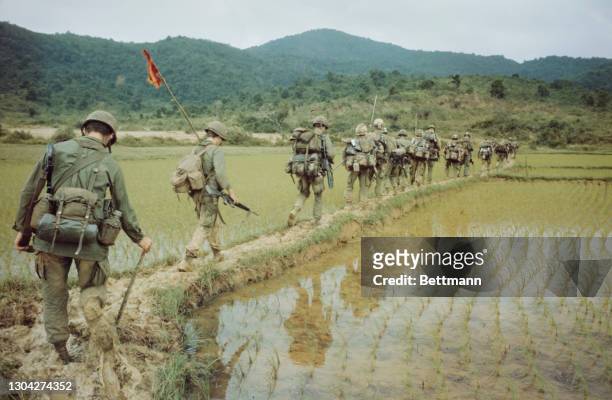 Soldiers of the United States Army's 1st Cavalry Division carrying a captured Viet Cong flag, reflected in the waters of a paddy field, during a...