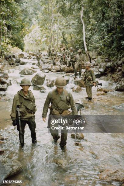 Soldiers of the United States Army's 1st Cavalry Division carrying their M16A1 rifles as they walk through along a stream as they search for a Viet...