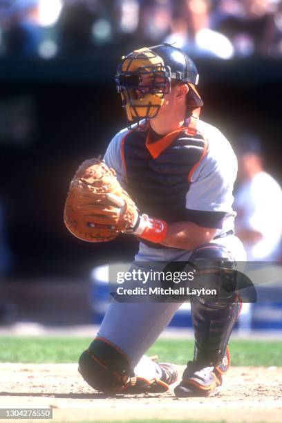 John Flaherty of the Detroit Tigers pin position during a baseball game against the Baltimore Orioles on May 18, 1995 at Oriole Park at Camden Yards...