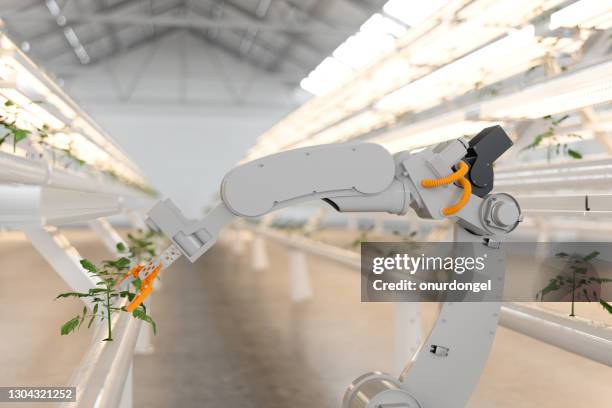 automatische landbouwtechnologie met robotarm in hydrocultuur verticale boerderij. - sci fi food stockfoto's en -beelden