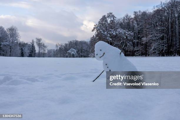 melting snowman in the park - sneeuwpop stockfoto's en -beelden