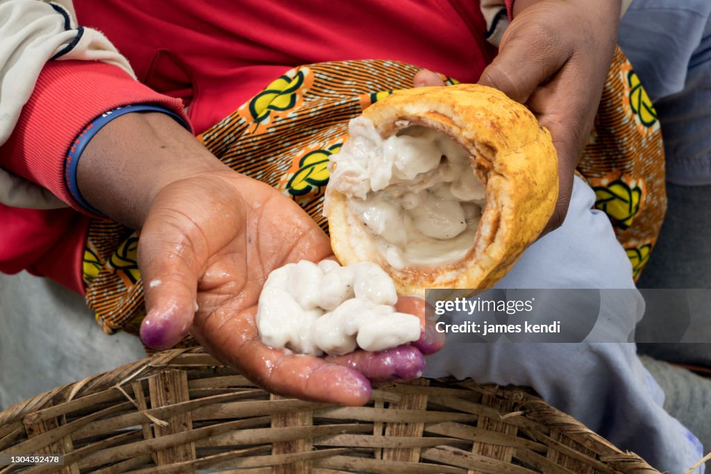 Coco Worker