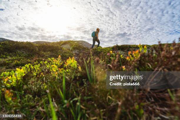 woman outdoor adventures: hiking in norway forest, on the mountain - oslo city life stock pictures, royalty-free photos & images