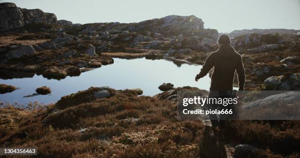 het mensenportret van viking: door een fjord - nordic landscape stockfoto's en -beelden