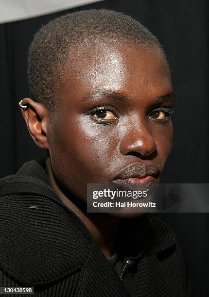 Atmosphere during Mercedes-Bens Fashion Week Fall 2007 - Nicole Miller - Front Row and Backstage at The Promanade, Bryant Park in New York City, New...