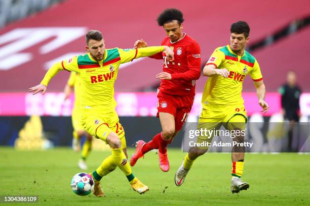 Leroy Sane of FC Bayern Muenchen is challenged by Jannes Horn and Jorge Mere of 1. FC Koeln during the Bundesliga match between FC Bayern Muenchen...