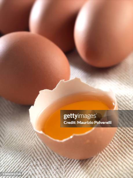 uncooked eggs - playpen stock pictures, royalty-free photos & images