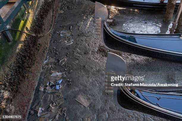 Gondolas are beached along the Grand Canal near Rialto bridge because of an exceptional low tide on February 27, 2021 in Venice, Italy. An...