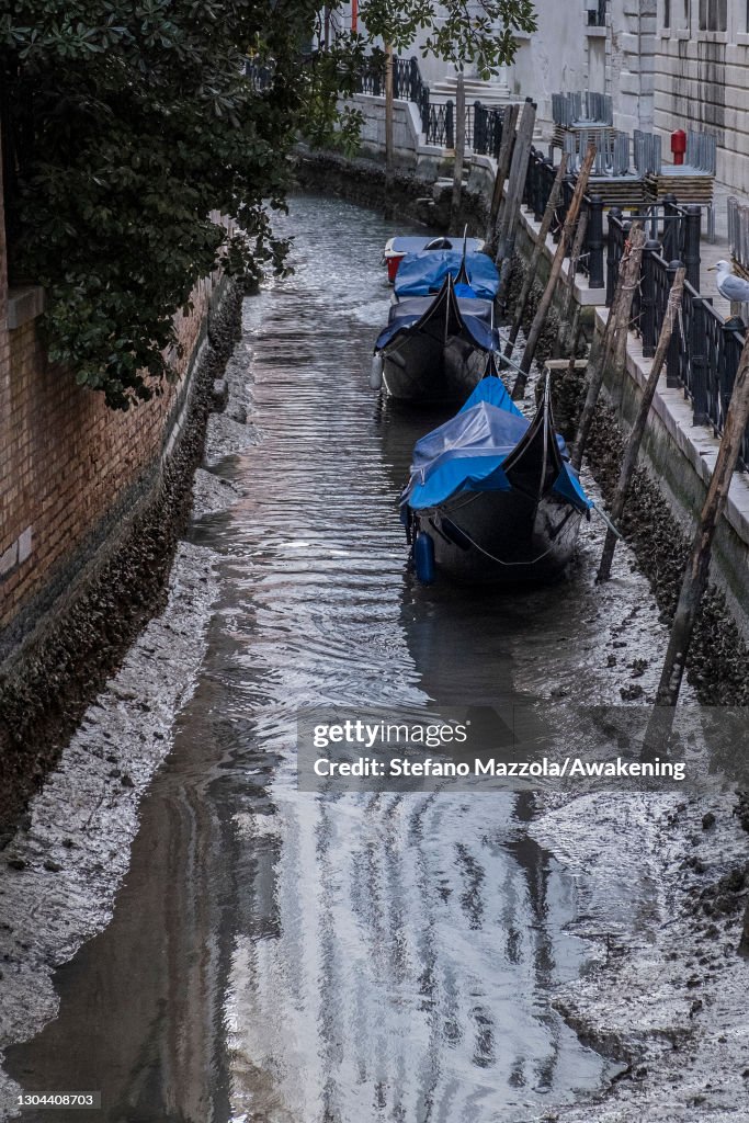 Exceptional Low Tide In Venice