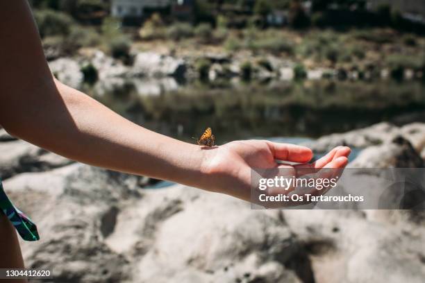 butterfly on a child's arm - human life cycle stock pictures, royalty-free photos & images