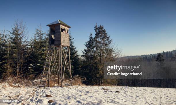 woman enjoying looking at from from the hunting blind on top of the hill - deer hunting blind stock pictures, royalty-free photos & images