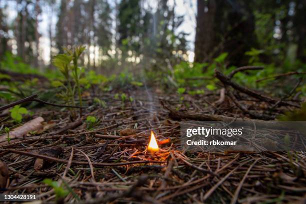 flame of a burning match thrown in a coniferous dry taiga. forest fire and smoke concept. danger of wood wildfire - forest fires spread across russia stock-fotos und bilder