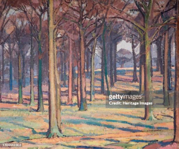 Wood in Richmond Park, 1914. Artist Spencer Gore.