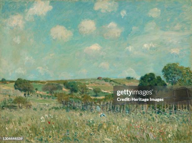 Meadow, 1875. Artist Alfred Sisley.