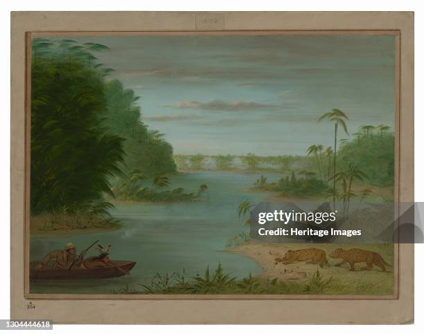 Pont de Palmiers and Tiger Shooting, 1854/1869. Rio Trombetas. Northern Brazil. Artist George Catlin.