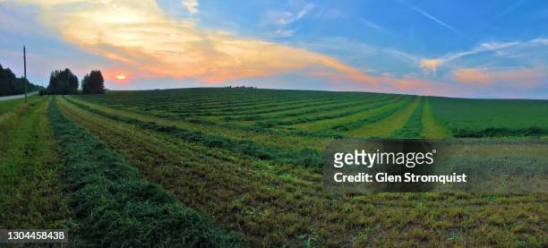 panoramic image of a freshly cut hay field at sunset - edmonton sunset stock pictures, royalty-free photos & images