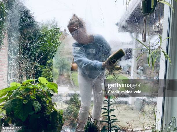 young woman cleaning window - rag stock pictures, royalty-free photos & images