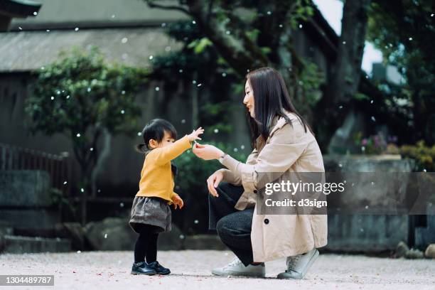 young asian mother and lovely little daughter playing with and collecting fallen cherry blossoms in a traditional japanese garden, having leisure time outdoors. family lifestyle - asian family fall stock-fotos und bilder