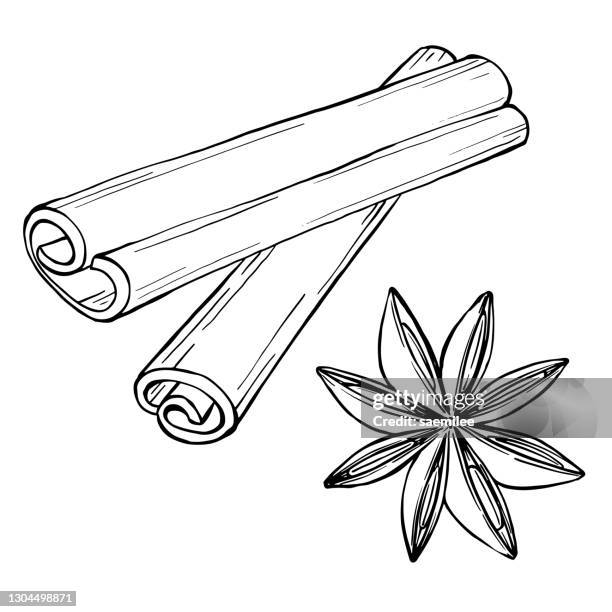spices drawing - cinnamon stock illustrations