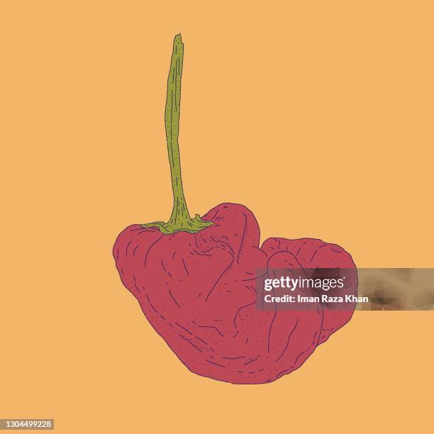 red chilli print - chef tasting stock illustrations