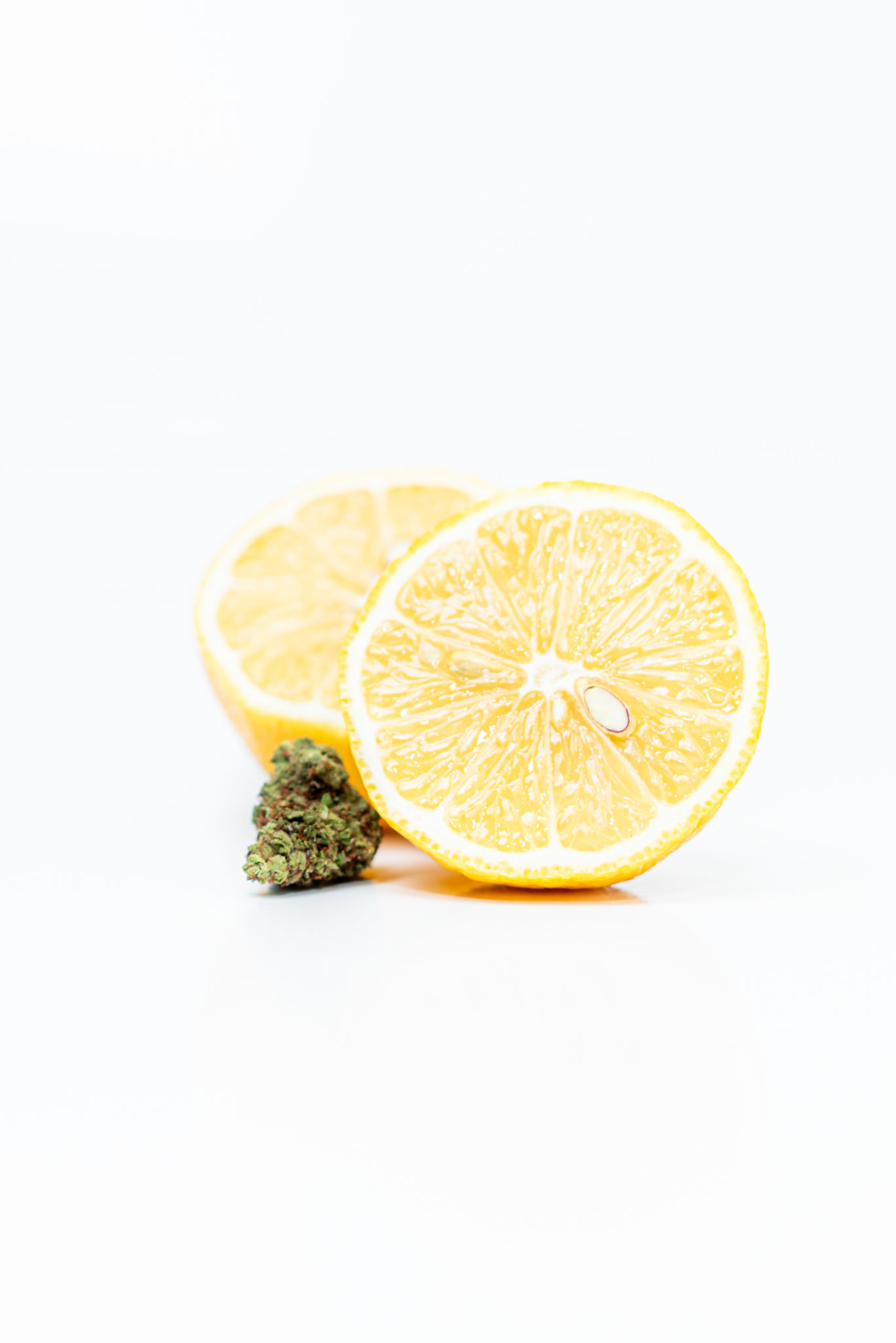 terpene profile