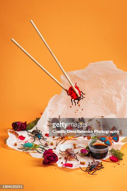 spring rolls concept, eating bugs with chopsticks, future protein source - the crickets stock pictures, royalty-free photos & images