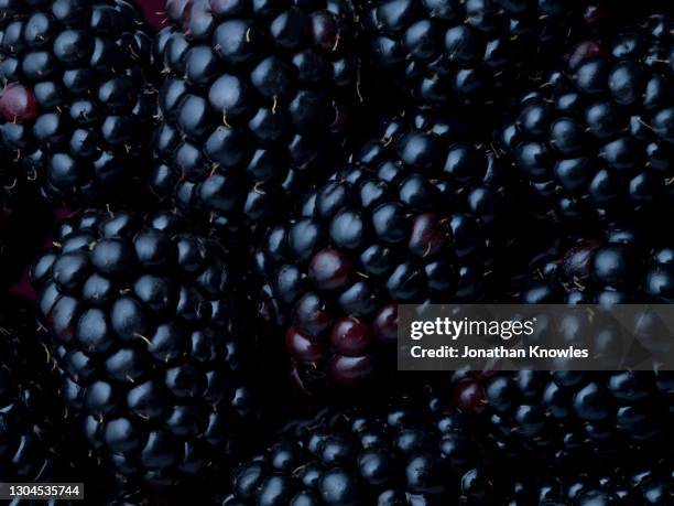 close up blackberries - food photography dark background blue stock pictures, royalty-free photos & images