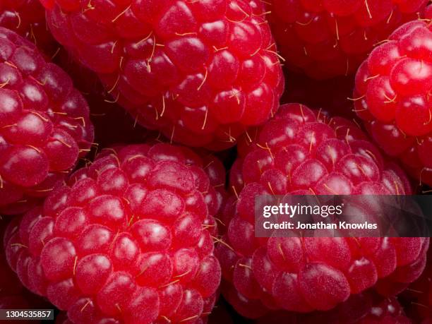 close up red raspberries - raspberry stockfoto's en -beelden