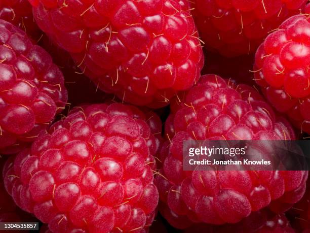 close up red raspberries - juicy raspberry stock pictures, royalty-free photos & images