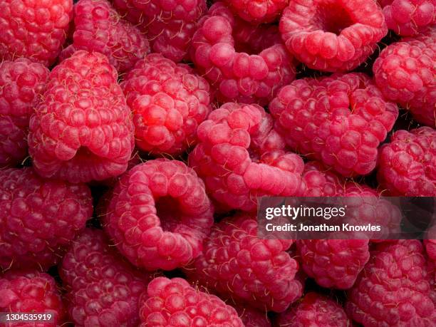 Raspberry Texture Map 1,446 Raspberry Texture Stock Photos, High-Res Pictures, and Images ...