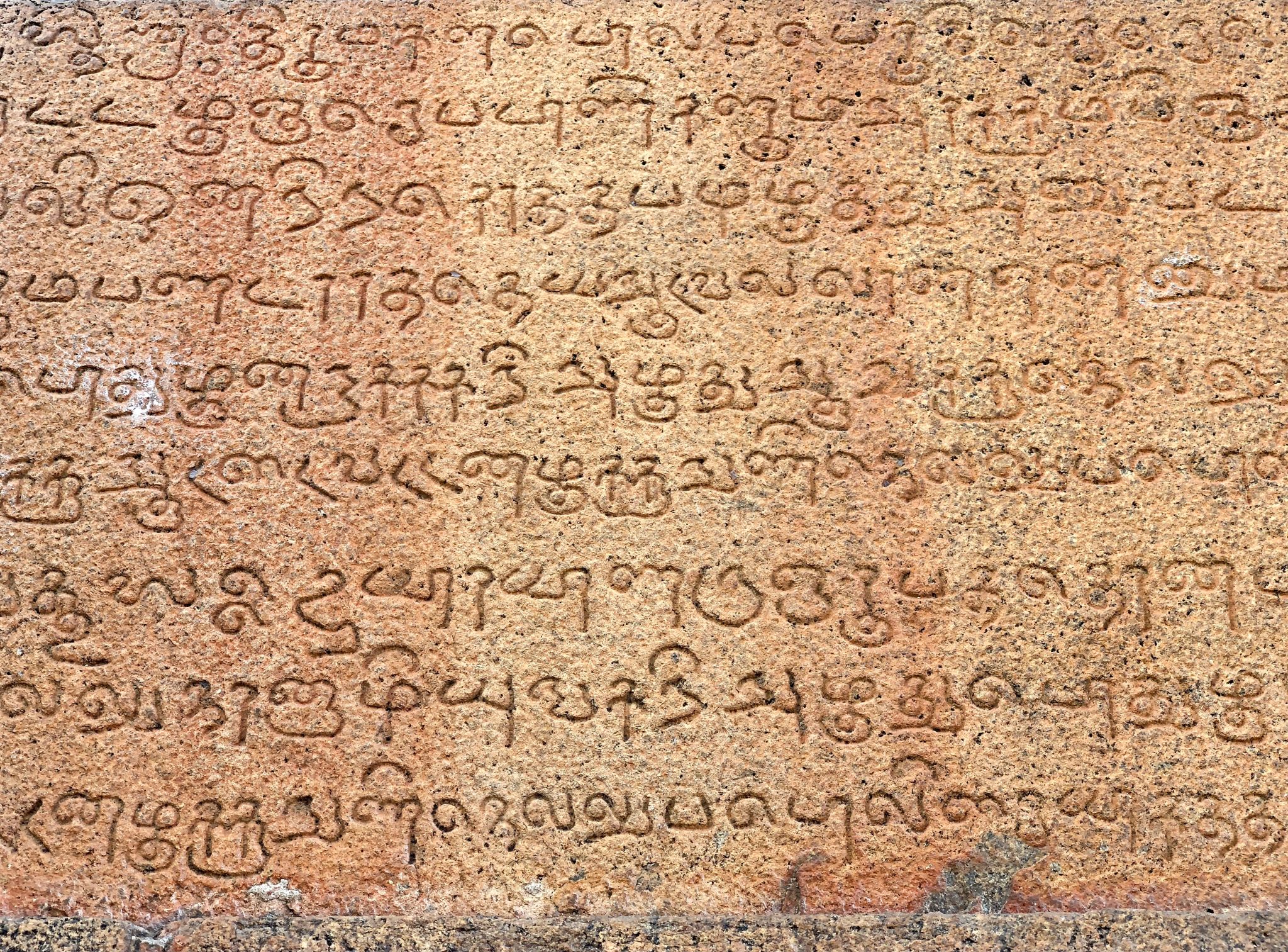 tamil language