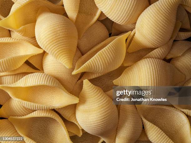 close up conchiglioni pasta - pasta fotografías e imágenes de stock