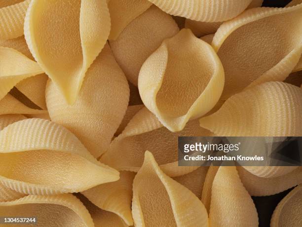 close up conchiglioni pasta - conchiglie photos et images de collection