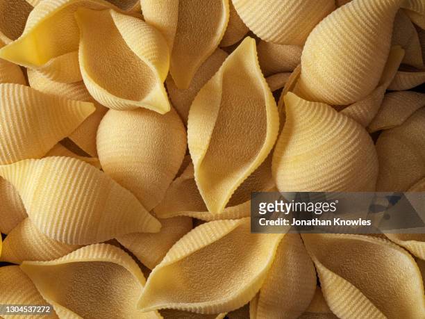 close up conchiglioni pasta - dry pasta stock pictures, royalty-free photos & images