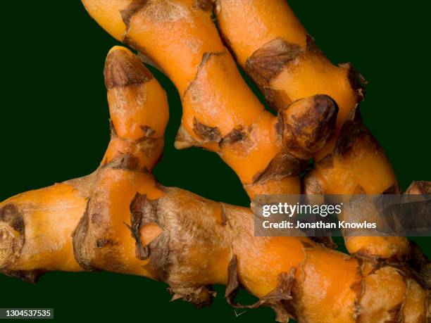 close up turmeric root - curcuma photos et images de collection
