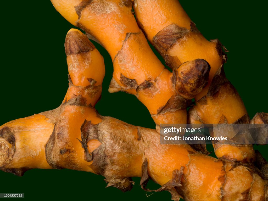 Close up turmeric root