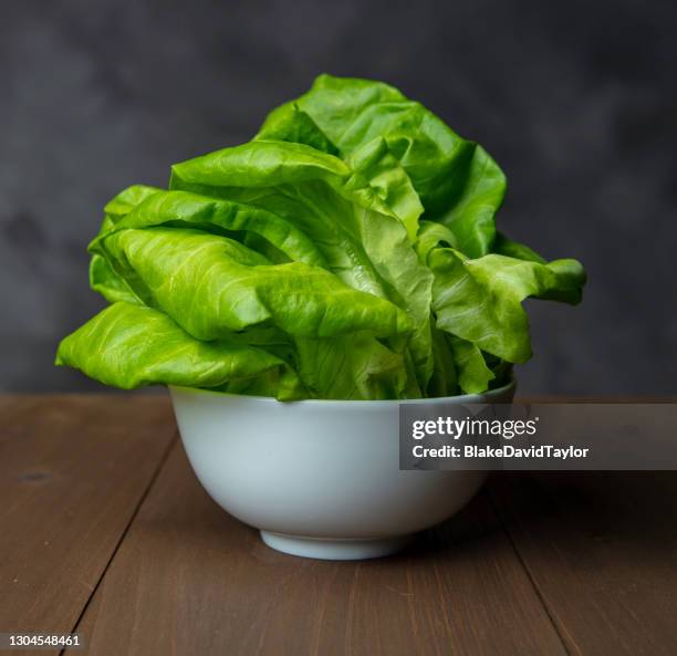 butter lettuce - alface cabeça de manteiga imagens e fotografias de stock