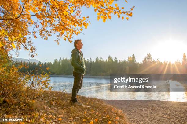 man watches sunrise over distant forest on lakeshore - reservoir stock pictures, royalty-free photos & images