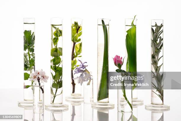 cosmetic laboratory for creating the natural organic bio beauty products from herbal ingredients. - aromaterapia foto e immagini stock