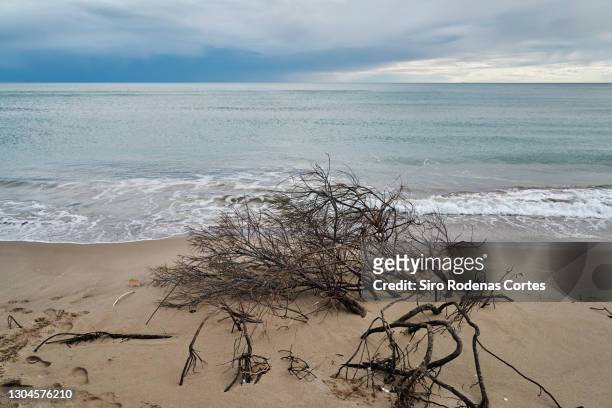 stormy day at beach - incertidumbre stockfoto's en -beelden
